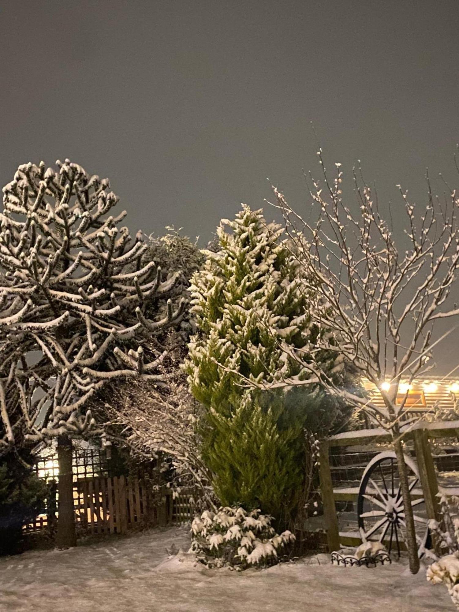 Fairview Farm Holiday Accommodation 14 Luxury Lodges, Cabins, Dog Friendly, Suitable For Couples, Families And Groups, Wedding Guests , Corporate Events, Sleeps 2-65 Guests In Ravenshead, Nottingham Near Sherwood Forest, Set In 88 Acres المظهر الخارجي الصورة